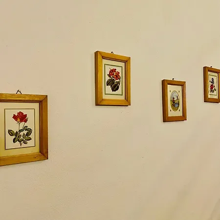 아파트 Don Tano *